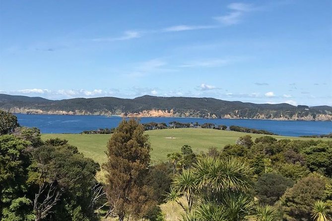 TāWharanui- Get Away From It All and Experience New Zealand at Its Best - Private Tour - Customer Reviews and Feedback