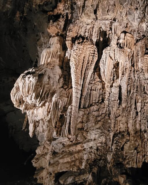 Taxco: Journey through Grutas de Cacahuamilpa - Authenticity and Traveler Experience