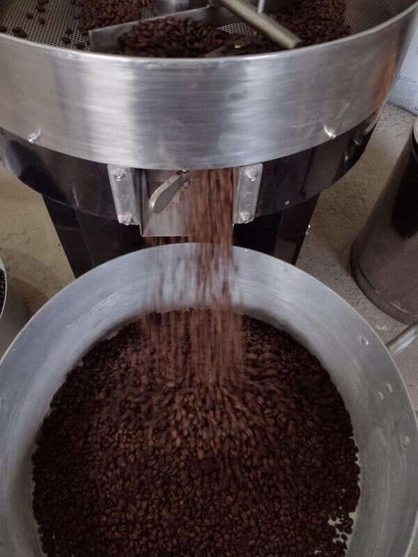 Taxco: Organic Coffee Garden Experience - An In-Depth Look at the Coffee Garden Experience