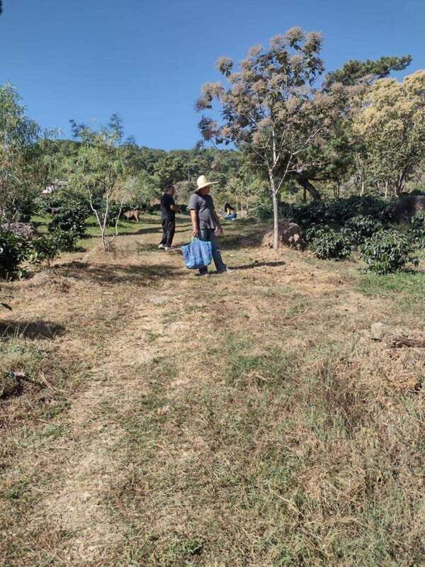 Taxco: Organic Coffee Garden Experience - Final Thoughts