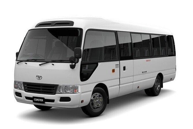 Taxi & Transfer From And To Punta Cana International Airport - Transportation Options