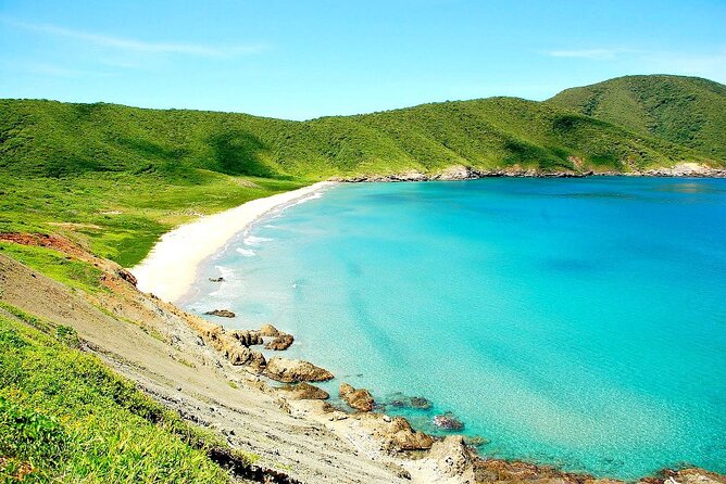 Tayrona National Natural Park (Santa Marta) - Discovering Local Wildlife
