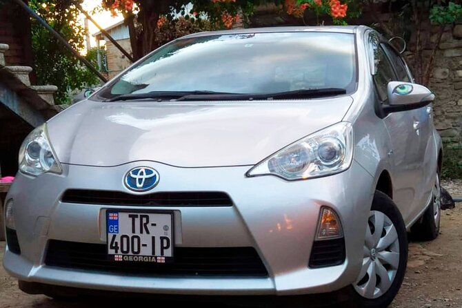 Tbilisi Airport Shuttle And Transfer Service - Positive Experiences