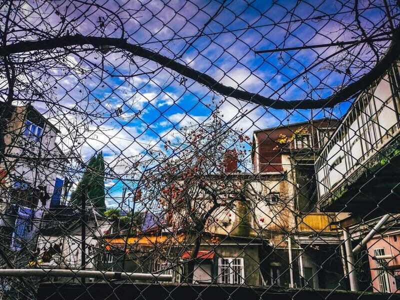 Tbilisi: Alternative (All Inclusive) City Tour, Lunch & Wine - Food and Drink: Tasting Georgia’s Flavors