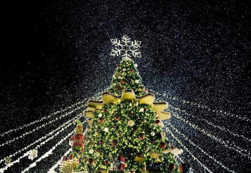 Tbilisi: Christmas Tour & Glühwein, Half-Day Guided Walking - The Value of the Experience
