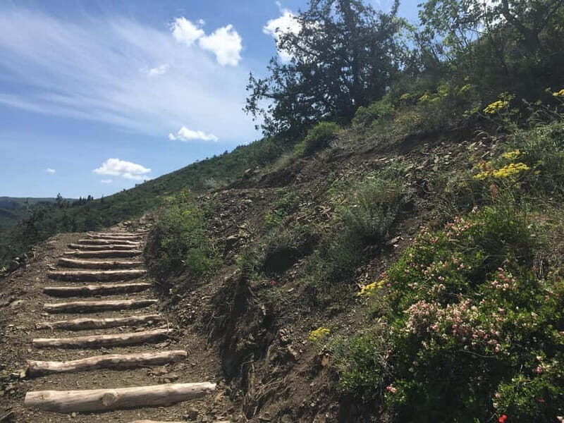 Tbilisi: Delightful Trail over the City - Authentic Experiences and Local Insights