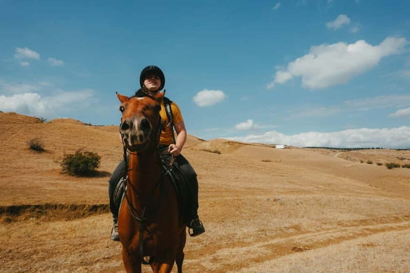 Tbilisi: Horseback Riding Experience - Key Points