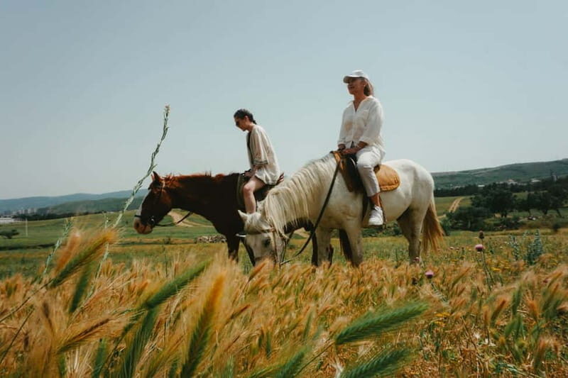 Tbilisi: Horseback Riding Experience - What to Expect from Your Horseback Riding Tour