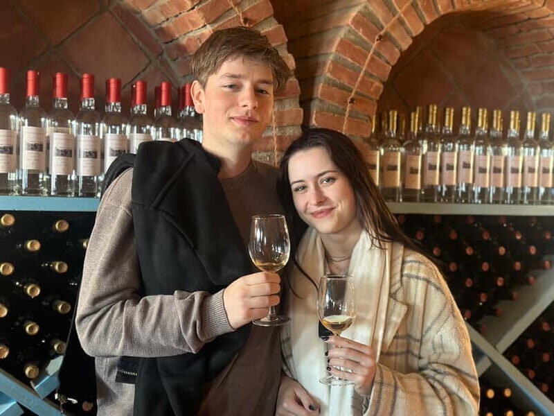 Tbilisi: Kakheti Wine Region Tour with 10 Wine Tastings - A Closer Look at the Tour Itinerary