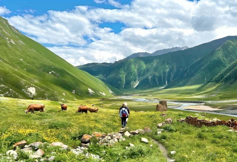 Tbilisi: Kazbegi Gudauri Ananuri and Truso Adventure by 4x4 - Key Points