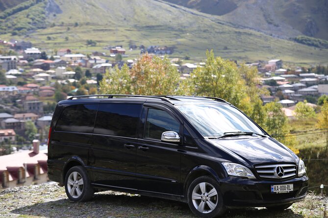 Tbilisi to Batumi and Vice Versa - Private VIP Transfer - Driver Expertise and Professionalism