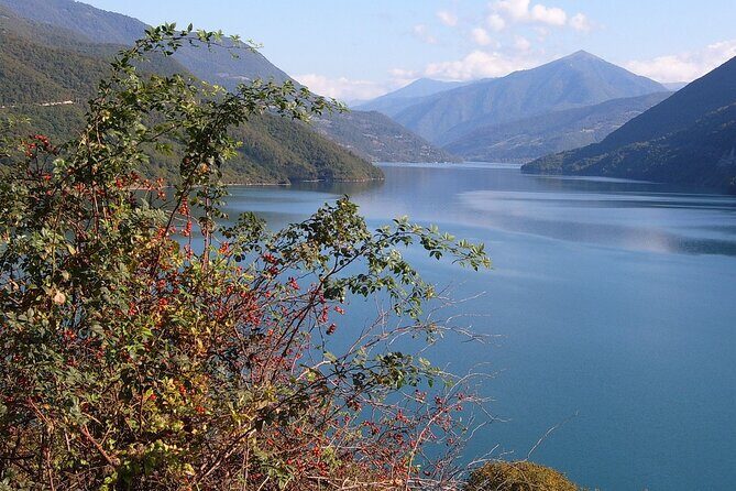 Tbilisi to Kazbegi, Gudauri, and Ananuri Day Tour - Who Is This Tour Best For?