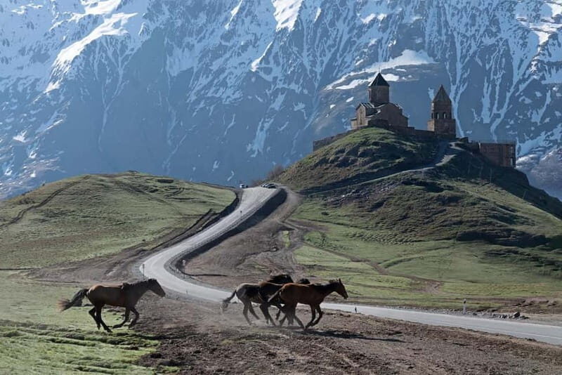 Tbilisi to Kazbegi: Journey to the Georgian Highlands - Logistics and Value