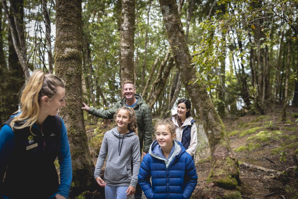 Te Anau: Glowworm Caves Guided Tour - Key Points