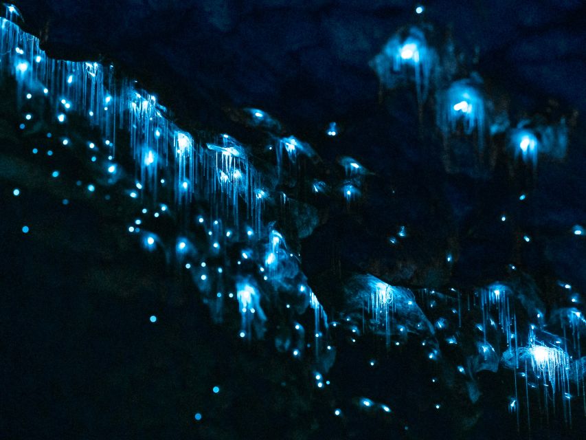 Te Anau: Glowworm Caves Guided Tour - Tour Details