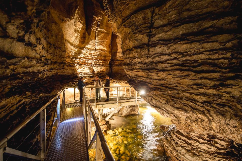 Te Anau: Glowworm Caves Guided Tour - Experience Description