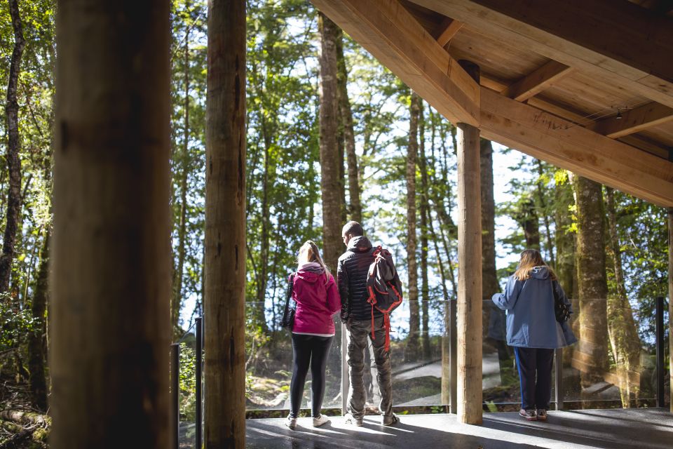 Te Anau: Glowworm Caves Guided Tour - Important Information