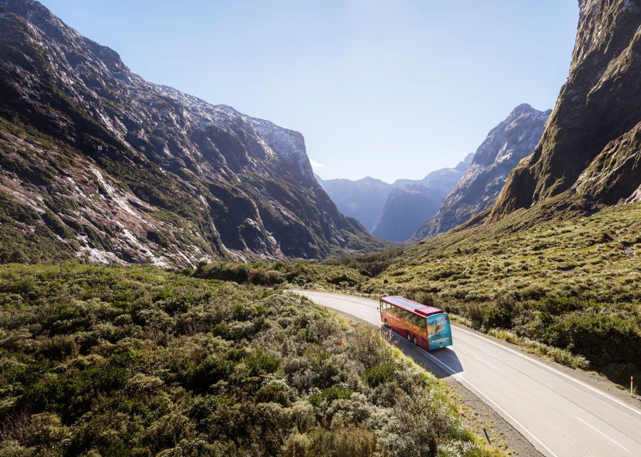 Te Anau: Milford Sound Bus, Cruise, Observatory, & Lunch - Customer Reviews & Testimonials