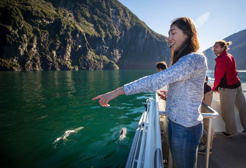 Te Anau: Milford Sound Bus, Cruise, Observatory, & Lunch - Group Activities & Reservations