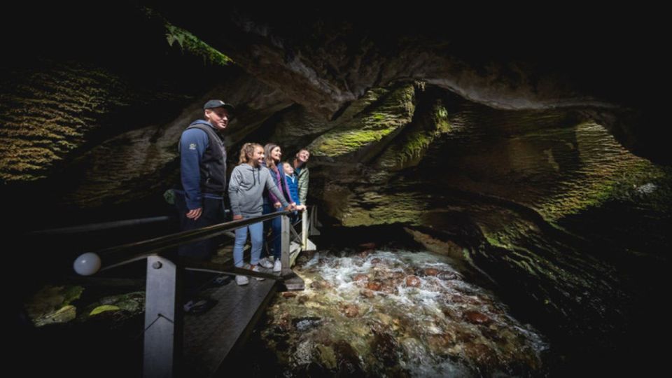 Te Anau: Natural Landmarks & Lord of the Rings Location Tour - Important Information