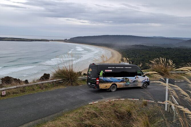 Te Anau to Dunedin Via The Catlins Small-Group Tour (One-Way) - Practical Considerations