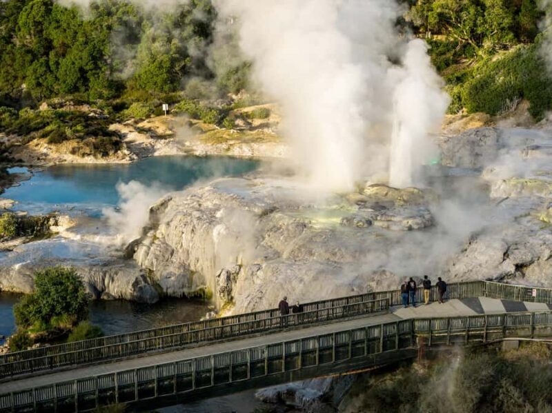Te Puia: Te P Indigenous Combo - Tour, Dinner + Haka - What Travelers Say