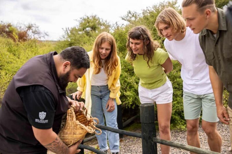 Te Puia: Tuku Iho Trail with Cultural Show - Who Will Love This Tour?