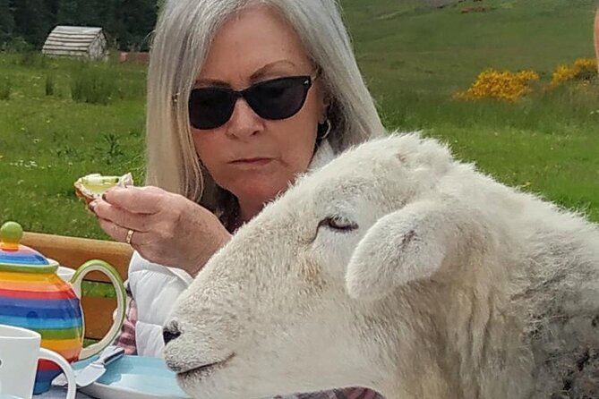 Tea With Naughty Sheep - Culinary Delights and Nature