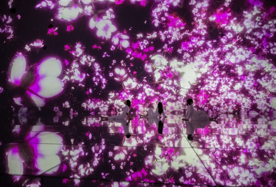 Teamlab Planets Tokyo: Digital Art Museum Entrance Ticket - Highlights of the Digital Art Museum