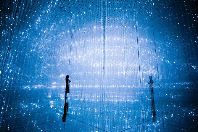 Teamlab Planets Walking Tour With Toyosu Fish Market Buffet Lunch - Transportation and Logistics