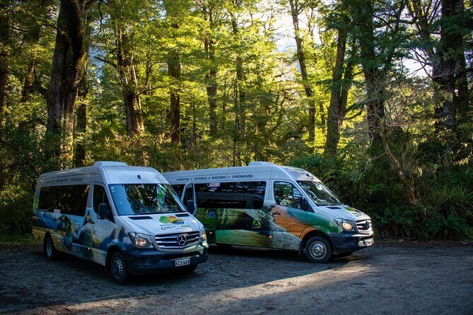 TeAnau to Queenstown via Milford Sound Tour with Cruise and Lunch - FAQ  