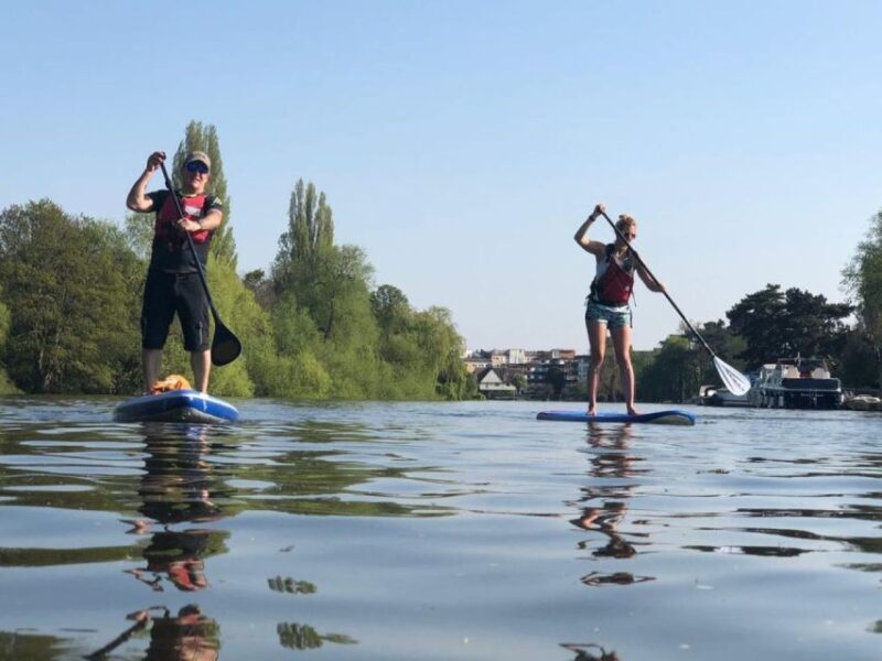 Teddington: Paddleboard Experience on the Thames - Key Points