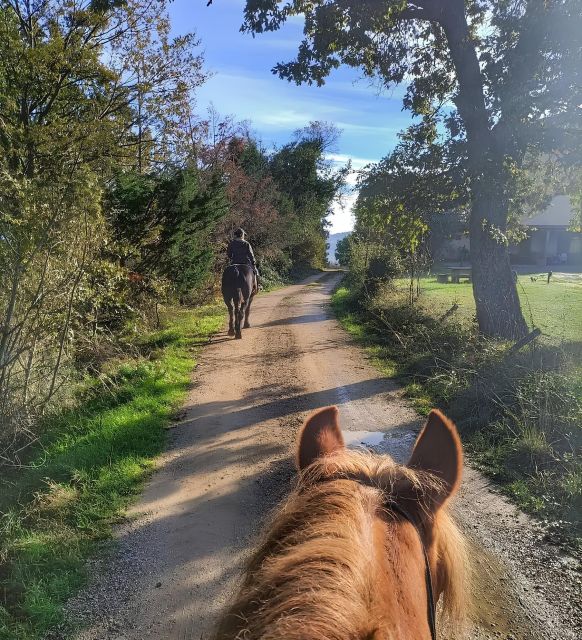 Tègoni Farm: Horseback Riding in Tuscany - Horseback Riding Options
