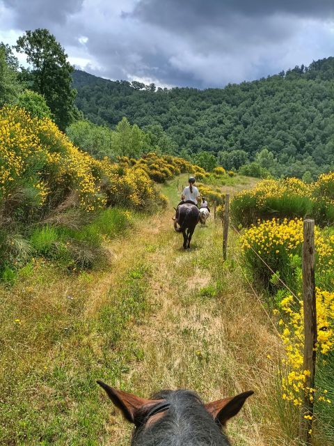Tègoni Farm: Horseback Riding in Tuscany - Pricing for Activities