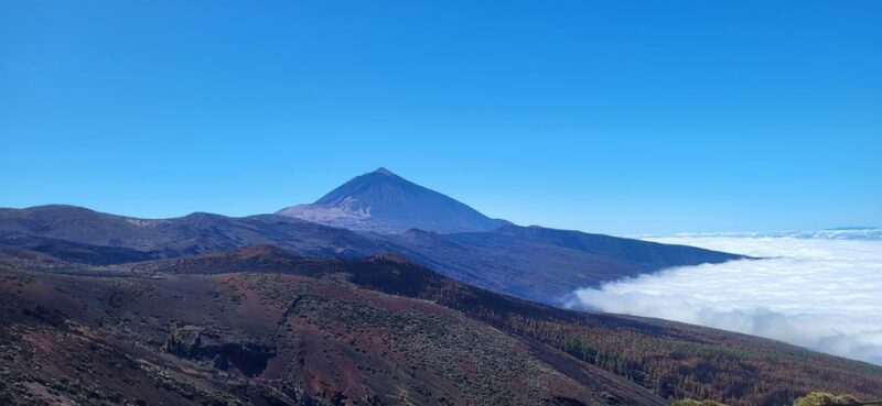 Teide National Park and Vilaflor ; Local Wine Tasting - Included and Excluded Features