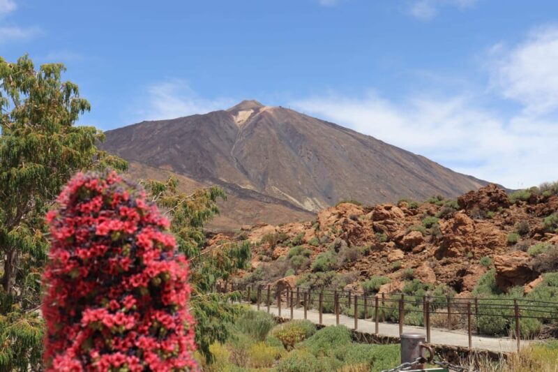 Teide National Park and Vilaflor ; Local Wine Tasting - Customer Feedback and Ratings