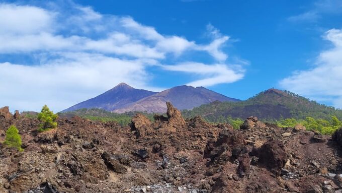 Teide National Park and Vilaflor ; Local Wine Tasting - Discovering Vilaflor and Local Wineries