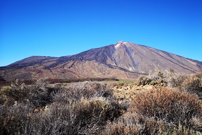 Teide National Park for Smaller Groups - Inclusions and Pickup