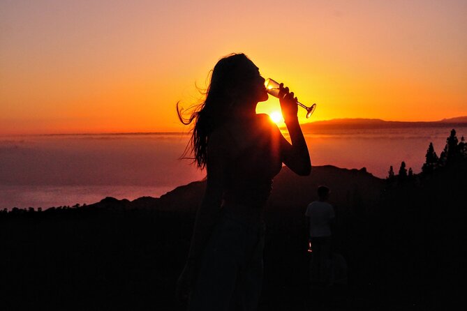 Teide National Park Sunset & Stargazing With Dinner (Star Safari) - Customer Reviews
