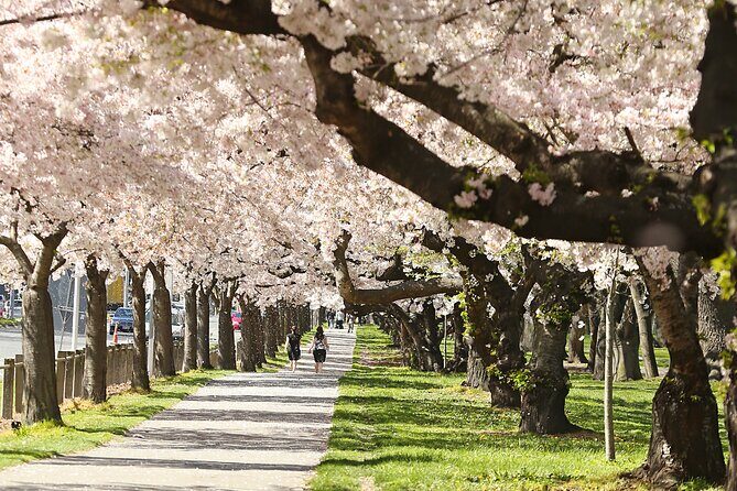 Tekapo to Christchurch Small-Group Tour (one-way) - Key Points