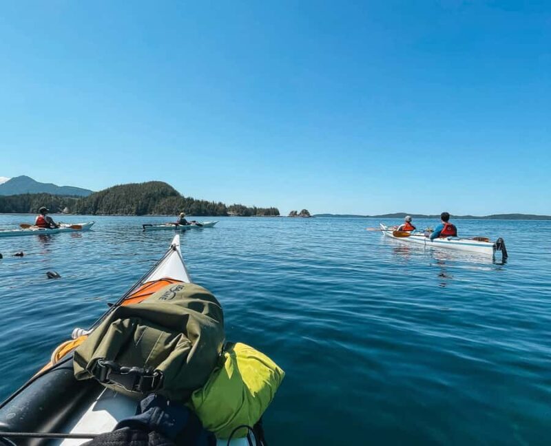 Telegraph Cove: 2-Hour Day or Evening Kayaking Tour - What is the Telegraph Cove Kayaking Tour?