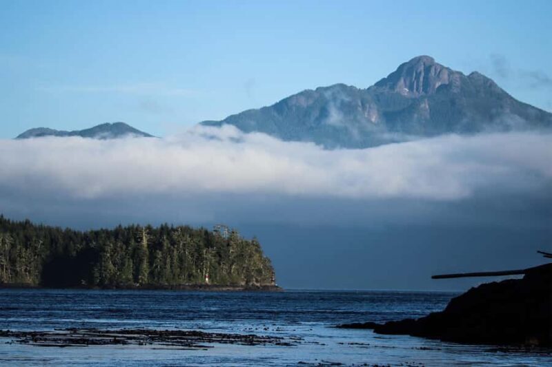 Telegraph Cove: 2-Hour Day or Evening Kayaking Tour - The Sum Up: Who Should Consider This Tour?