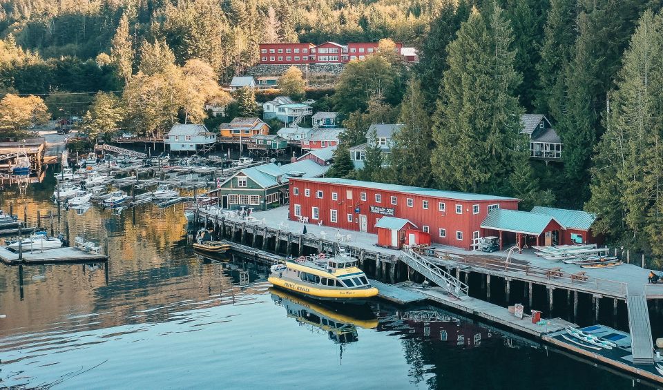 Telegraph Cove: 2 Hour Evening Kayak Tour - Key Points