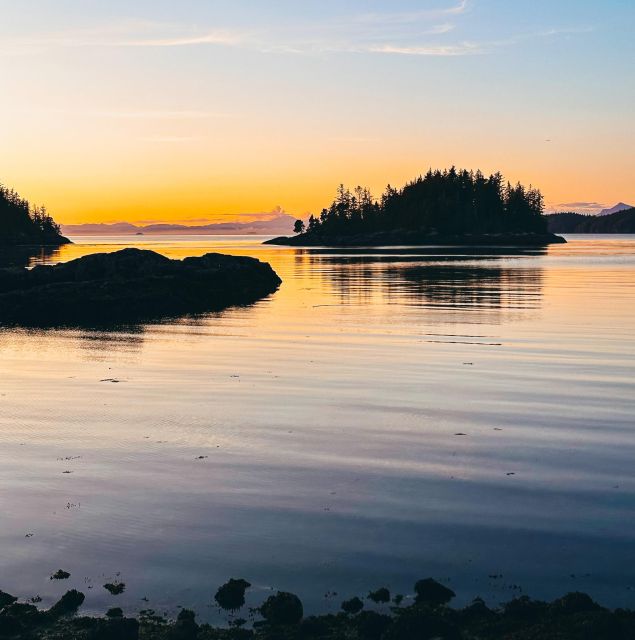 Telegraph Cove: 2 Hour Evening Kayak Tour - Tour Highlights