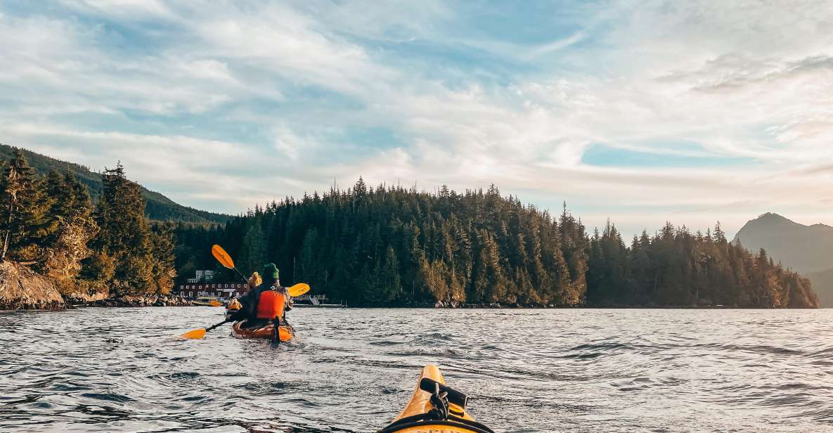 Telegraph Cove: 2 Hour Evening Kayak Tour - Important Information