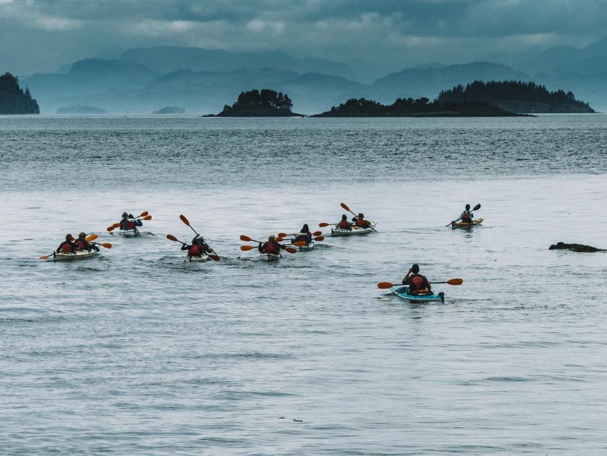 Telegraph Cove: 2 Hour Family Fun Kayaking Tour - Location and Meeting Point