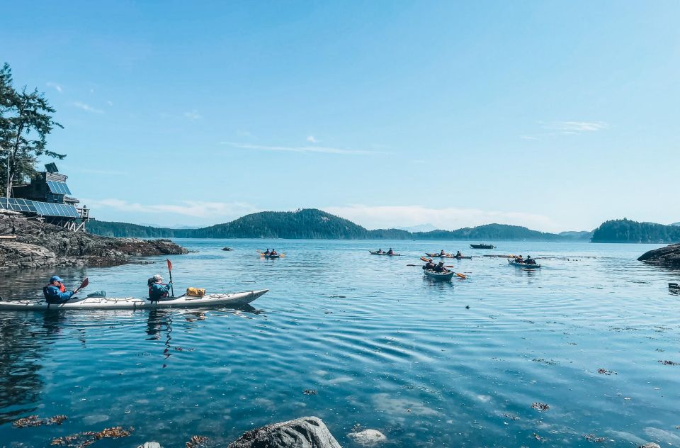 Telegraph Cove: 2 Hour Family Fun Kayaking Tour - Included in the Tour