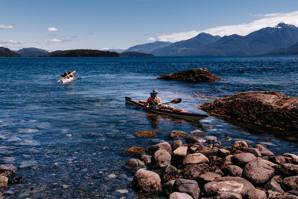 Telegraph Cove: 2 Hour Family Fun Kayaking Tour - Restrictions