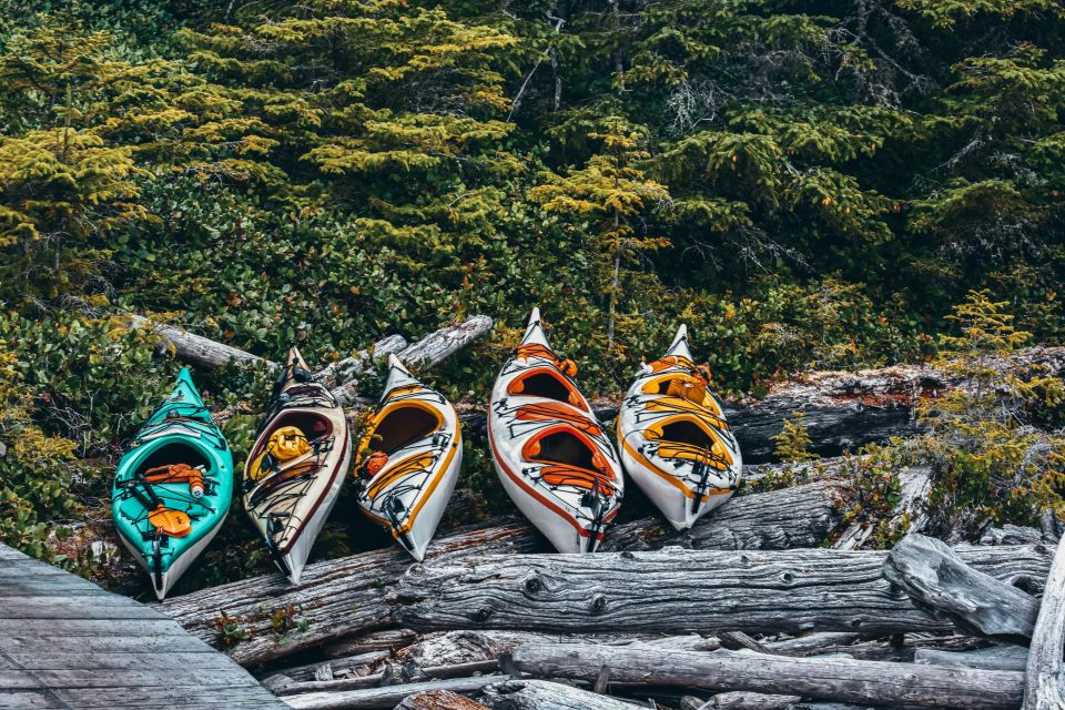 Telegraph Cove: 2 Hour Family Fun Kayaking Tour - Suitability and Requirements