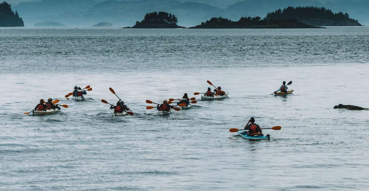 Telegraph Cove: 2 Hour Family Fun Kayaking Tour - Frequently Asked Questions